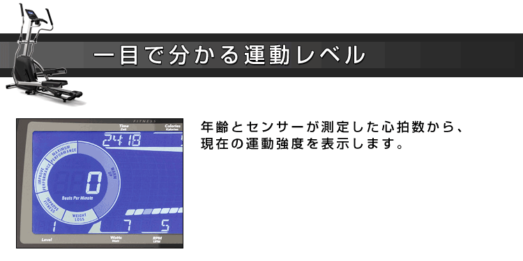 多彩なプログラム